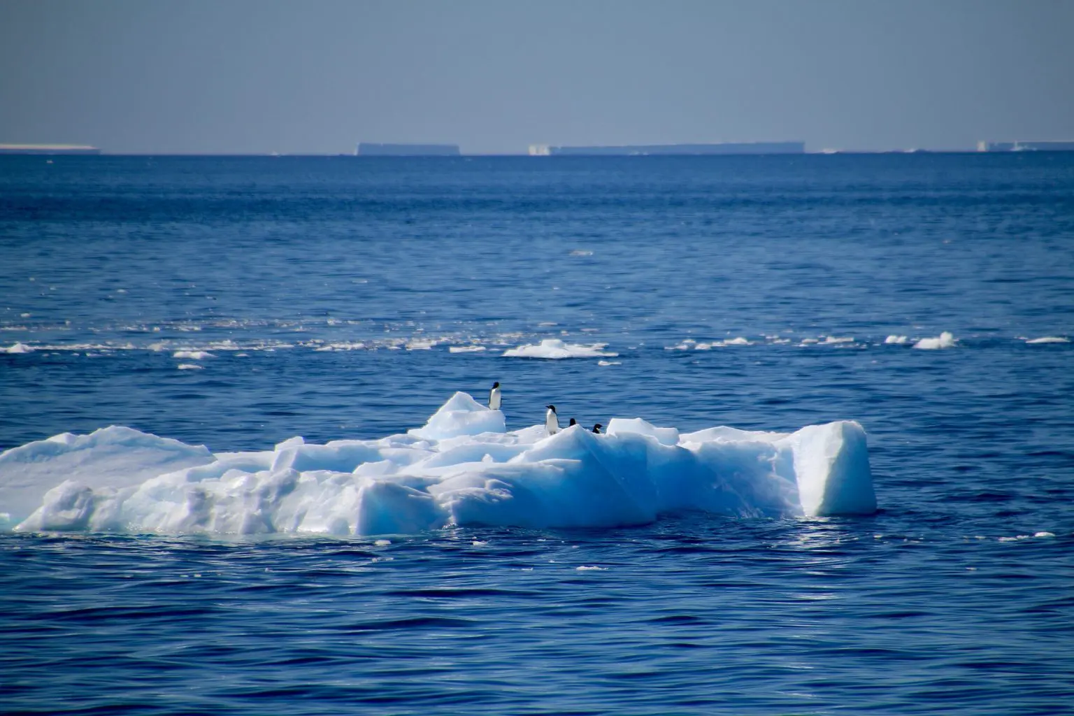 Cientistas usam IA para simular o aumento das temperaturas