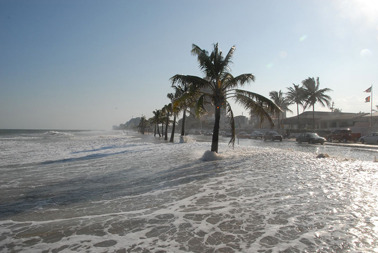 Projeto estudantil busca formas de conter a elevação do nível do mar.